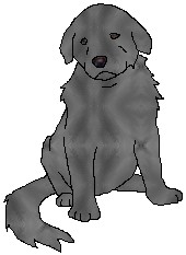 bearpup.jpg