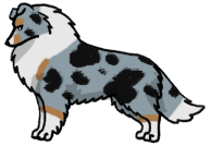 bluesheltieadult.gif