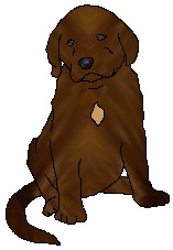 chipperpup.jpg
