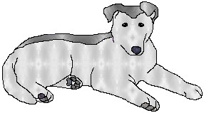 crystalpup.jpg