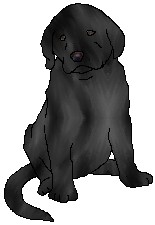 gwenpup.jpg