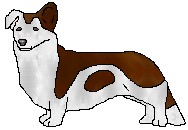 jackpup.jpg