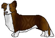 jakepup.jpg