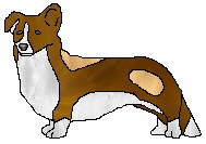 jessepup.jpg