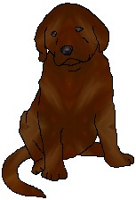 littleanne.jpg