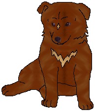 marmaladepup.jpg