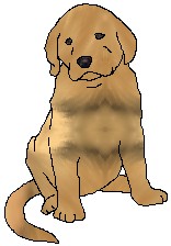 olddanpup.jpg
