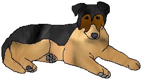 rushpup.jpg