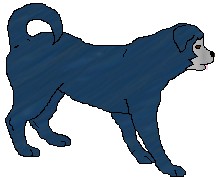 tereasapup.jpg