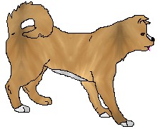 tristanpup.jpg